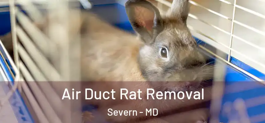  Air Duct Rat Removal Severn - MD
