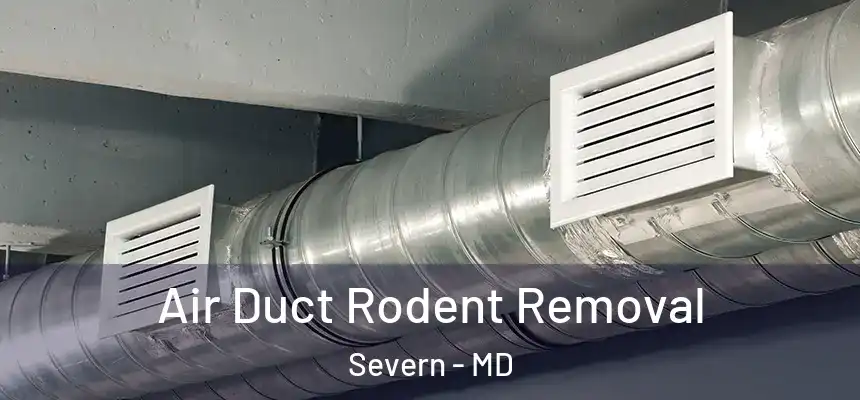 Air Duct Rodent Removal Severn - MD