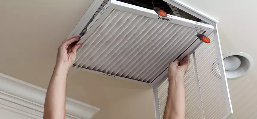 Preventive Cockroach-Proofing for Ducts in Severn
