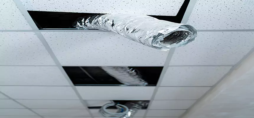 Our Air Duct Pet Hair Removal Services in Severn, MD