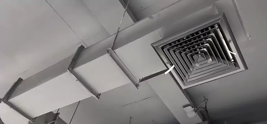 Our Pest Removal From Ducts Services in Severn, MD