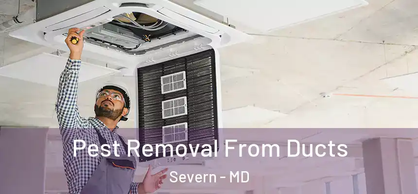Pest Removal From Ducts Severn - MD