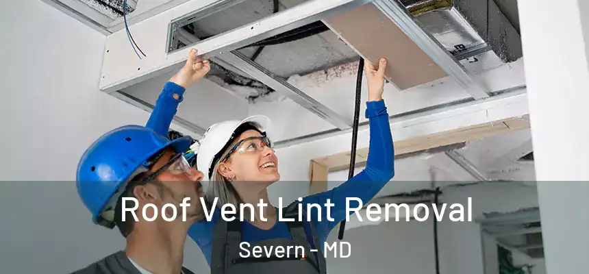 Roof Vent Lint Removal Severn - MD