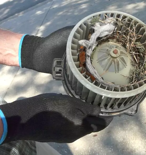 About Air Duct Rat Removal in Severn, MD