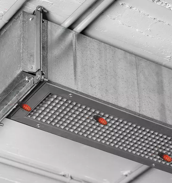Affordable Insect Removal from Air Ducts in Severn, MD