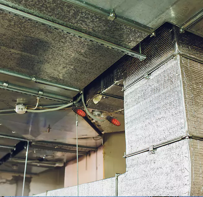 Why Homeowners & Businesses Trust Us in Severn, MD?